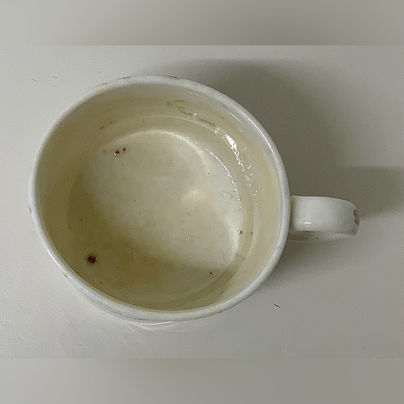 19th Century Antique Gaudy Welsh Grape Pattern Miniature Child’s Mug - Picture 12 of 14